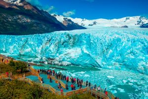 Patagonia-calafate-min