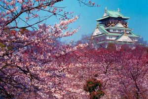 castillo-de-osaka-大坂城-2766311-min