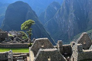 machu-picchu-600-4-min