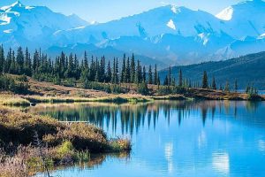 wonder-lake-denali-national-park-mountains-background