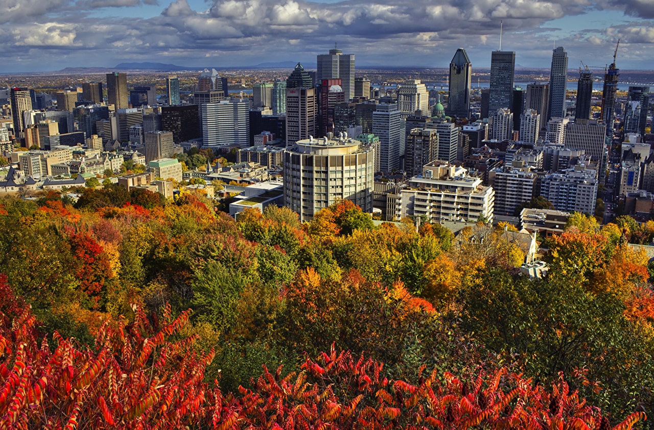 Canada_Houses_Autumn_483747-min