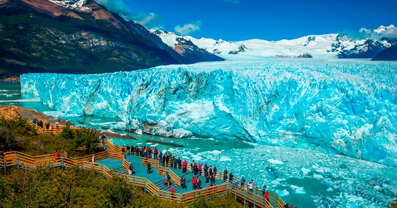 Patagonia-calafate-min