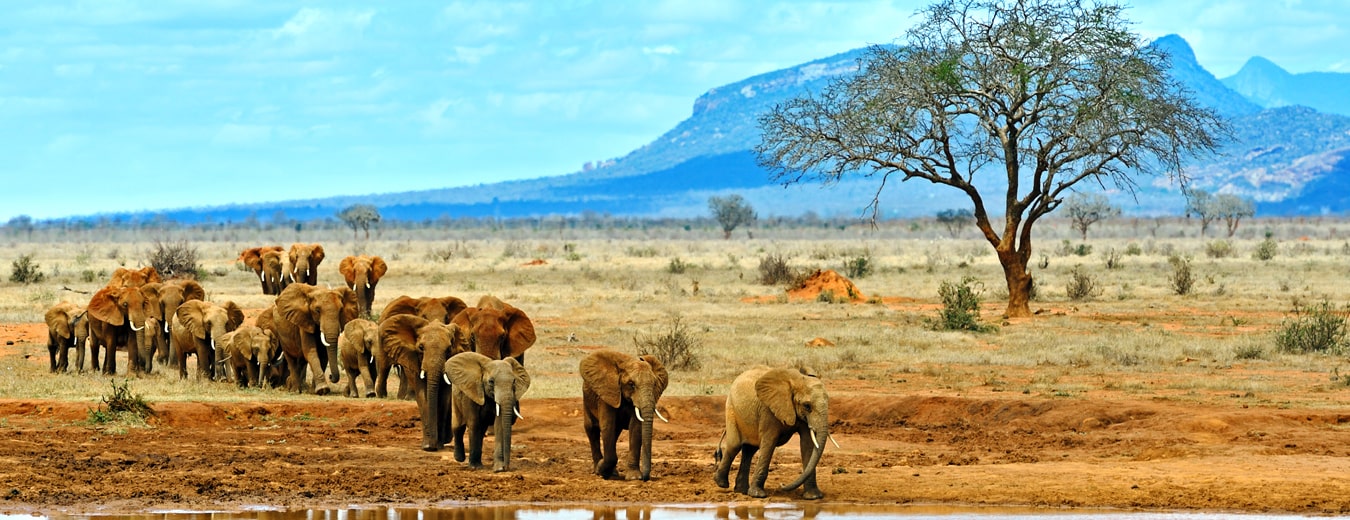 continente_Africa-Ilhas-1478716464-436-min